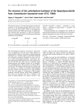 Báo cáo khoa học: The structure of the carbohydrate backbone of the lipopolysaccharide from Acinetobacter baumannii strain ATCC 19606