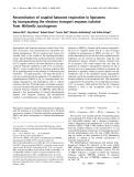 Báo cáo khoa học: Reconstitution of coupled fumarate respiration in liposomes by incorporating the electron transport enzymes isolated from Wolinella succinogenes