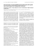 Báo cáo khoa học:  Characterization of phycoviolobilin phycoerythrocyanin-a84-cysteinlyase-(isomerizing) from Mastigocladus laminosus