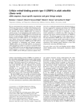 Báo cáo khoa học: Cellular retinol-binding protein type II (CRBPII) in adult zebraﬁsh (Danio rerio) cDNA sequence, tissue-speciﬁc expression and gene linkage analysis