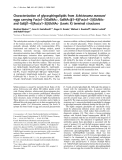 Báo cáo khoa học: Characterization of glycosphingolipids fromSchistosoma mansoni eggs carrying Fuc(a1±3)GalNAc-, GalNAc(b1±4)[Fuc(a1±3)]GlcNAc-and Gal(b1±4)[Fuc(a1±3)]GlcNAc- (Lewis X) terminal structures