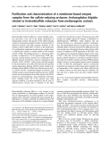 Báo cáo khoa học: Puriﬁcation and characterization of a membrane-bound enzyme complex from the sulfate-reducing archaeon Archaeoglobus fulgidus related to heterodisulﬁde reductase from methanogenic archaea