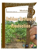 Rubber Budwood Production