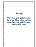 Tiểu luận  Thực trạng và giải pháp sử dụng lao động nông nghiệp nông thôn khi mất đất hiện nay tại Việt Nam