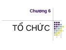 Chương 6: Tổ chức