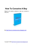 How To Conceive A Boy