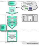 Software Process Improvement Journey: IBM Australia Application Management Services