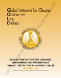 GLOBAL STRATEGY FOR THE DIAGNOSIS, MANAGEMENT, AND PREVENTION OF CHRONIC OBSTRUCTIVE PULMONARY DISEASE