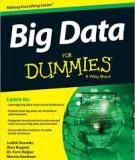 Big Data For Dummies