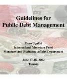Guidelines for Public Debt Management