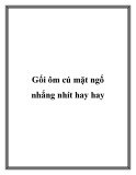 Gối ôm cú mặt ngố nhắng nhít hay hay