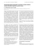 Báo cáo Y học: Autophosphorylation-dependent inactivation of plant chimeric calcium/calmodulin-dependent protein kinase