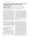 Báo cáo Y học:  A b-lysine adenylating enzyme and a b-lysine binding protein involved in poly b-lysine chain assembly in nourseothricin synthesis in Streptomyces noursei