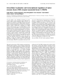 Báo cáo Y học: Intracellular localization and transcriptional regulation of tumor necrosis factor (TNF) receptor-associated factor 4 (TRAF4)