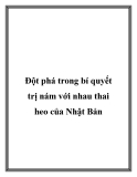 Đột phá trong bí quyết trị nám với nhau thai heo của Nhật Bản