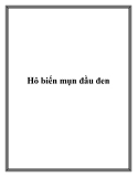 Hô biến mụn đầu đen.