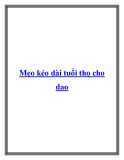 Mẹo kéo dài tuổi thọ cho dao