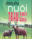 Kỹ thuật nuôi trâu thịt, trâu sữa