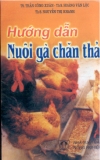 Kỹ thuật nuôi gà chăn thả