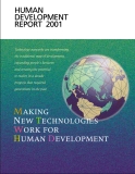 Making new technologies work for human development