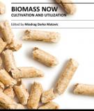 BIOMASS NOW – CULTIVATION AND UTILIZATION