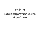 Phần VI : Schlumberger Water Service