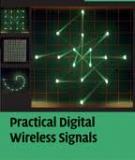 Practical Digital Wireless Signals