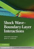 Shock Wave–Boundary-Layer Interactions