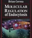 Molecular Regulation of Endocytosis Edited by Brian Ceresa