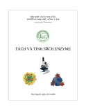 LUẬN VĂN NGHIÊN CỨU TÁCH VÀ TINH SẠCH ENZYME