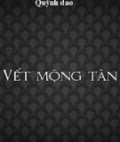 Vết mộng tàn