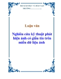 Luận văn:  Nghiên cứu kỹ thuật phát hiện ảnh có giấu tin trên miền dữ liệu ảnh