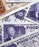 USE OF BIOMETRIC IDENTIFICATION TECHNOLOGY TO REDUCE FRAUD IN THE FOOD STAMP PROGRAM: FINAL REPORT