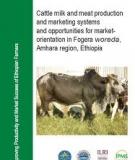 STUDIES ON CATTLE MILK AND MEAT PRODUCTION IN FOGERA  WOREDA: PRODUCTION SYSTEMS, CONSTRAINTS AND  OPPORTUNITIES FOR DEVELOPMENT     