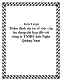 Tiểu Luận Thẩm định dự án về việc cấp tín dụng dài hạn đối với công ty TNHH Ánh Ngân Quảng Nam