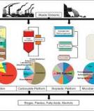 ASSESSMENT OF ANAEROBIC TREATMENT OF SELECT WASTE  STREAMS IN PAPER MANUFACTURING OPERATIONS   