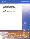 Large-Scale Pyrolysis Oil  Production: A Technology  Assessment and Economic  Analysis 