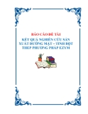 Báo cáo: Kết quả nghiên cứu sản xuất đường - mật tinh bột theo phương pháp ezym