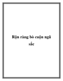 Rộn ràng bò cuộn ngũ sắc