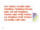 Nghiên cứu khoa học: Xây dựng chuẩn hiệu trưởng trường THCS, trường THPT và trường THPT có nhiều cấp