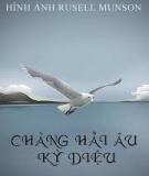 Chàng Hải Âu Kỳ Diệu - Richard Bach