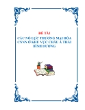 LUẬN VĂN  "CÁC NỔ LỰC THƯƠNG MẠI HÓA CNNN Ở KHU VỰC CHÂU Á THÁI BÌNH DƯƠNG"