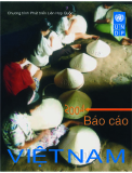 Báo cáo Việt Nam 2004 UNDP