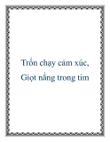 Trốn chạy cảm xúc, Giọt nắng trong tim