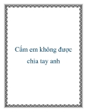 Cấm em không được chia tay anh