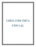 CHÉN CƠM THỪA CÒN LẠI.