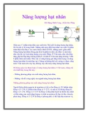 Năng lượng hạt nhân