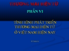 PHẦN VI TÌNH HÌNH PHÁT TRIỂN  THƯƠNG MẠI ĐIỆN TỬ