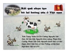 Kết quả chọn tạo bò lai sữa ở Việt nam