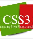 Các lệnh thường gặp trong css 